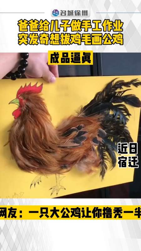 爸爸给儿子做手工作业,突发奇想拔鸡毛画公鸡,成品逼真惊呆网友