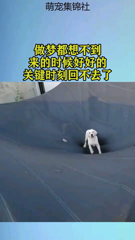 做梦都想不到,来的时候好好的,关键时刻回不去了