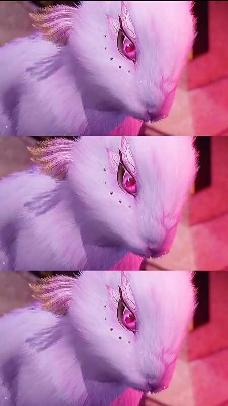 动漫#小舞真是一只聪明的兔子!-全民小视频