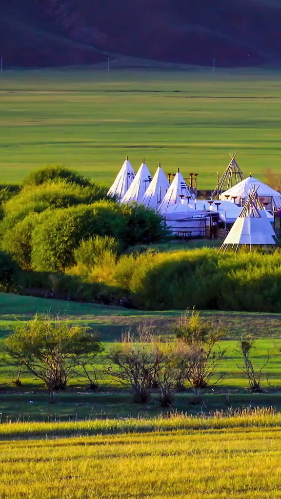 大自然美景#蒙古草原上的蒙古包