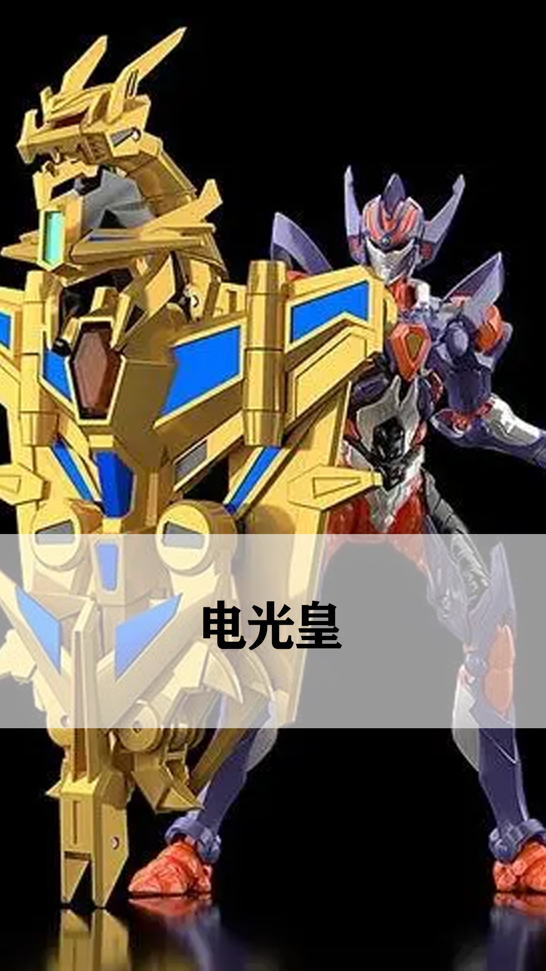 电光皇