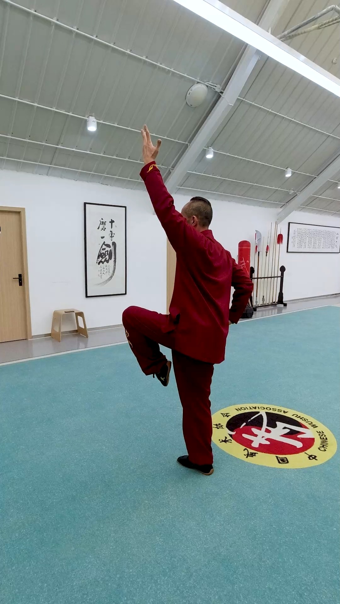 中华武术#八极拳动作教学展示