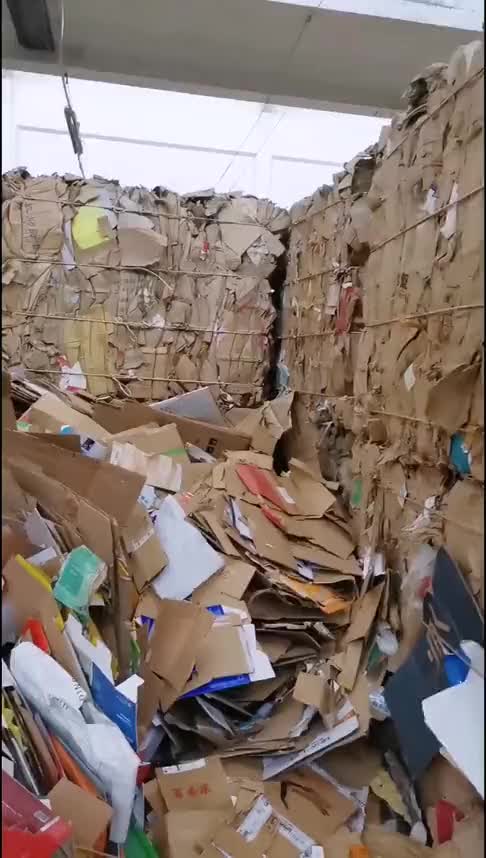 废纸板一天能收1000斤,一斤卖1元,这就是我一直干废品不改行的原因!