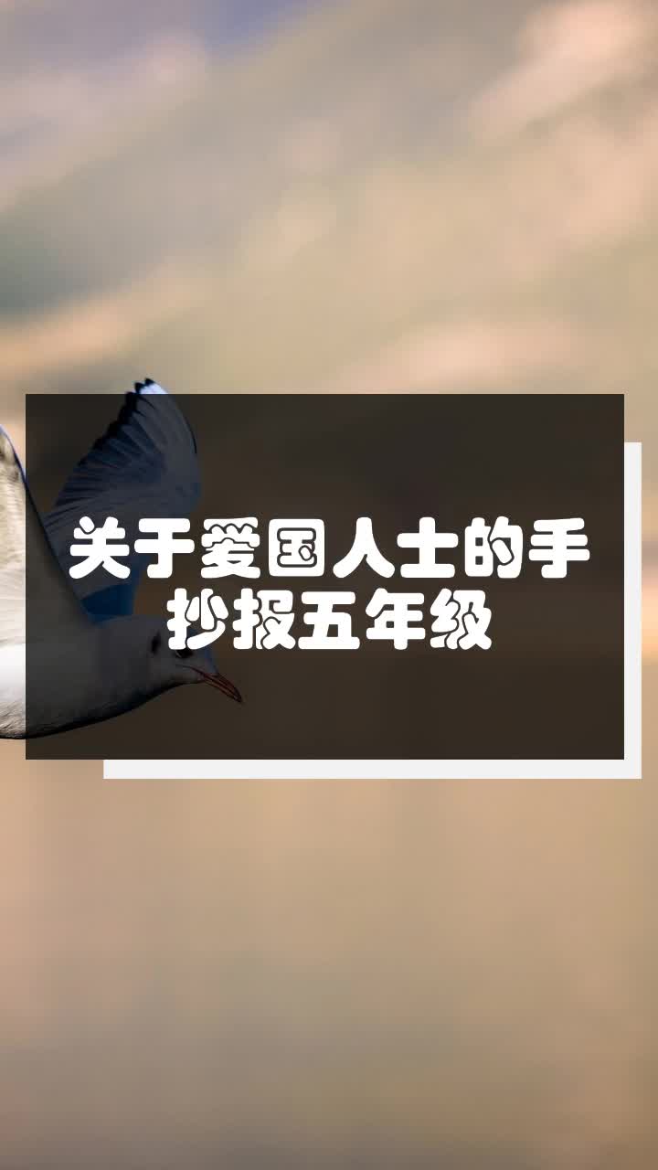 关于爱国人士的手抄报五年级