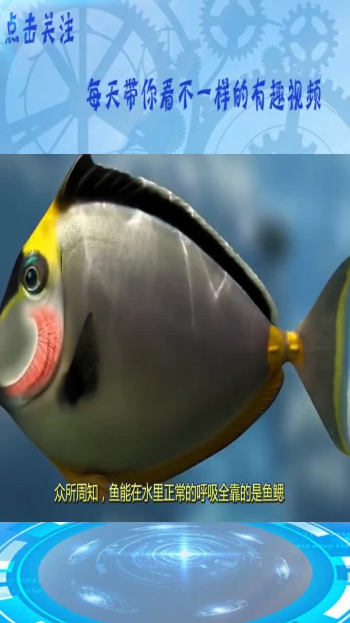 世界首款"人造鱼鳃"!只要戴在嘴上,也可以和鱼一样在水里呼吸!