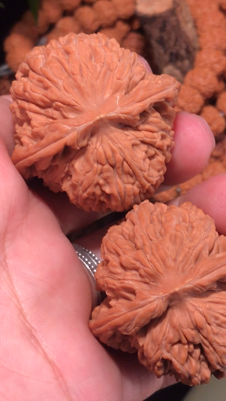 文玩核桃,份量巨沉的楼子