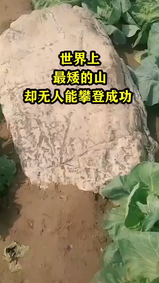 世界上最矮的山却无人能攀登成功
