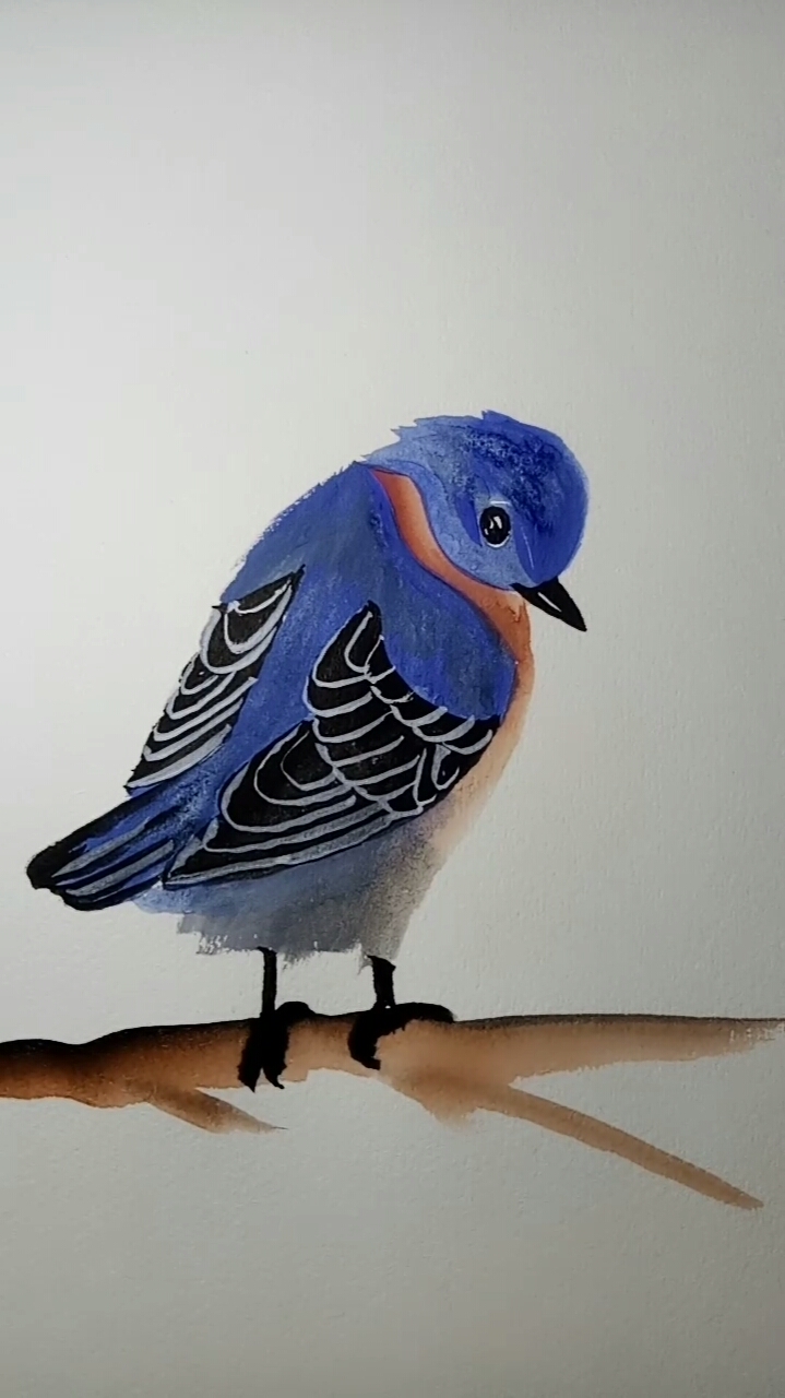 画画原来如此简单#水彩画鸟教学过程