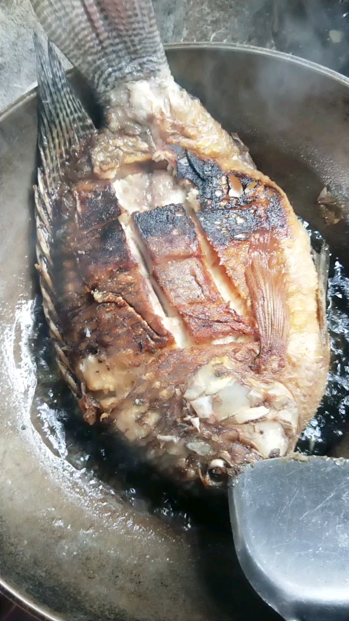 这鱼够大,肉太厚,焦了