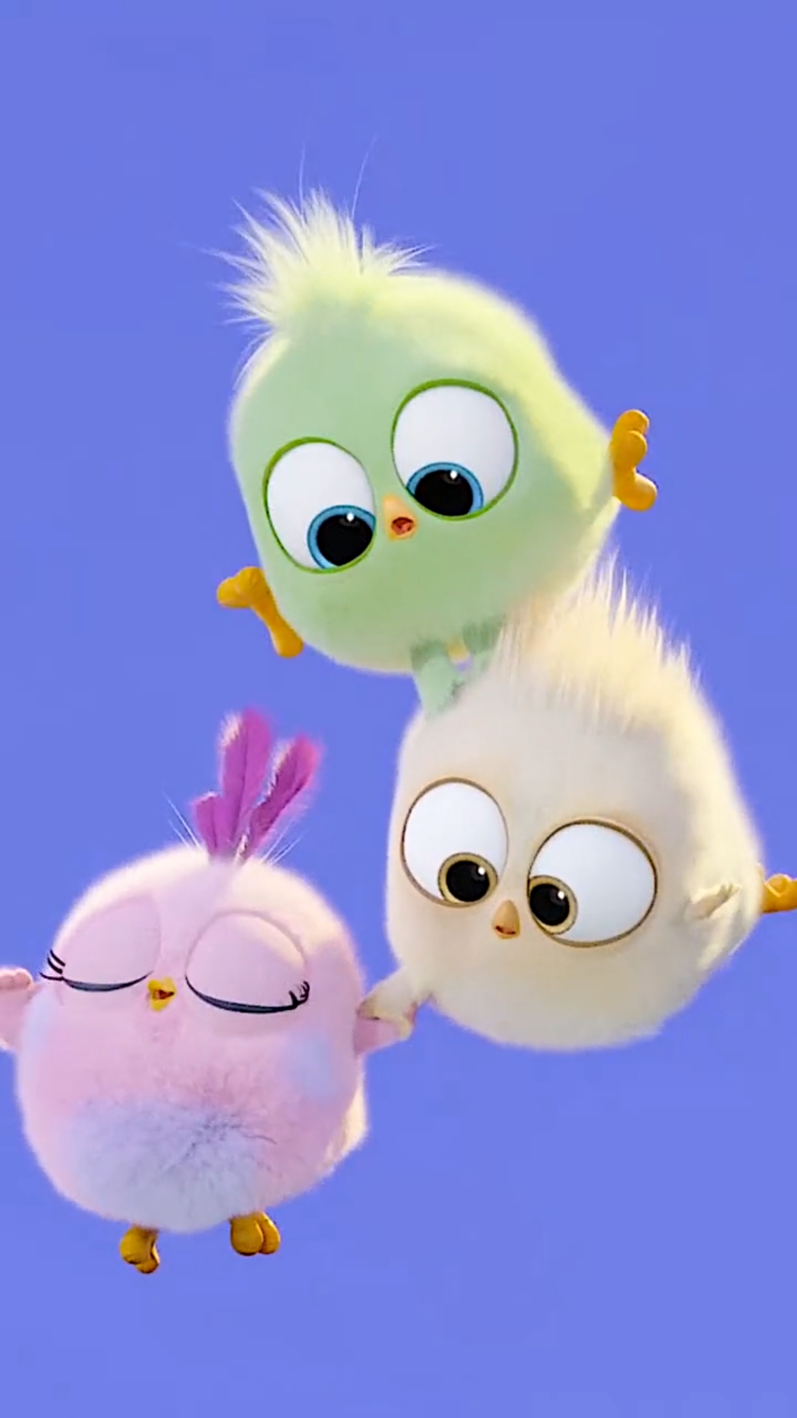 动漫治愈你#愤怒的小鸡#可爱#治愈#壁纸