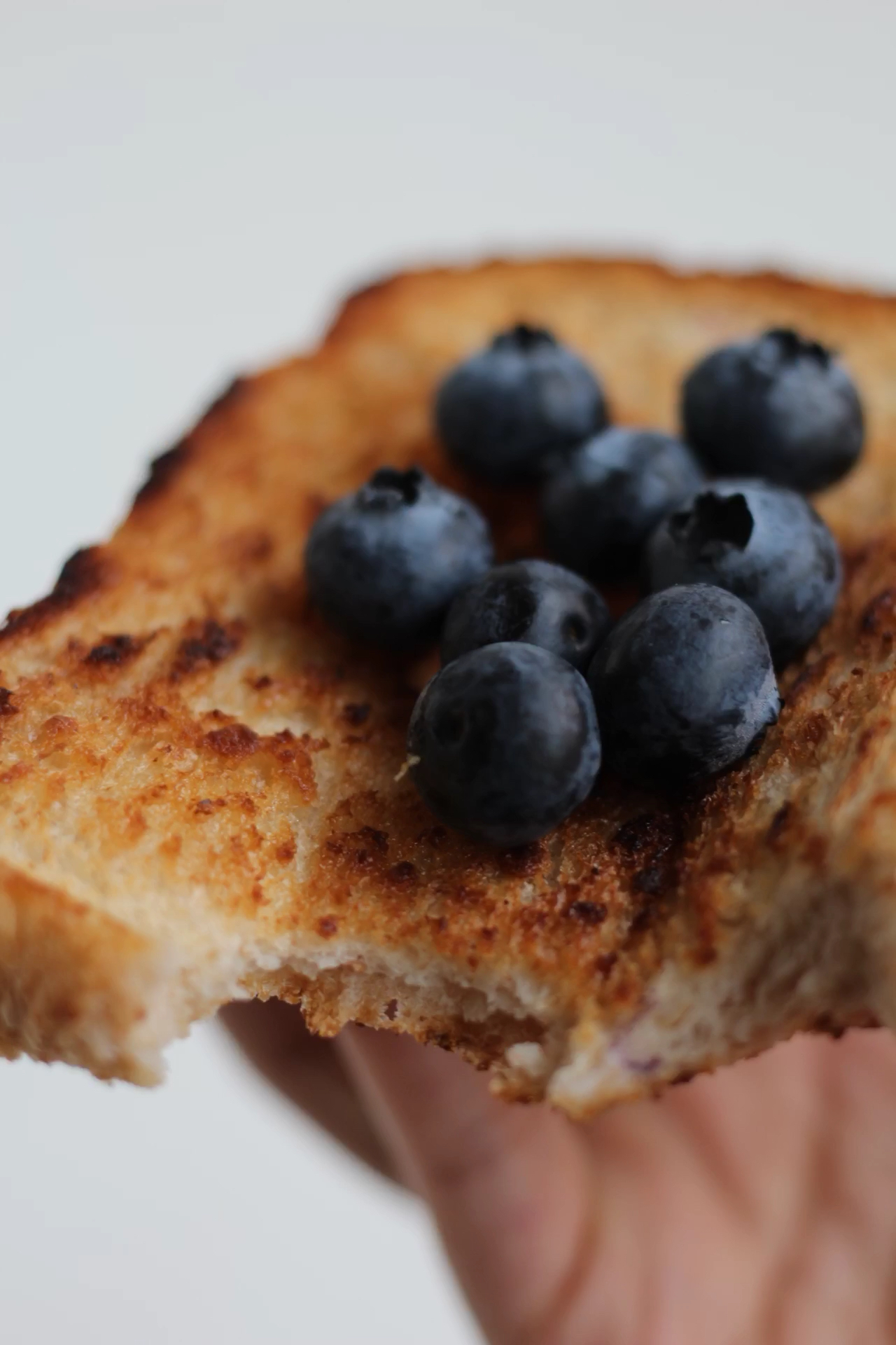 蓝莓烤面包