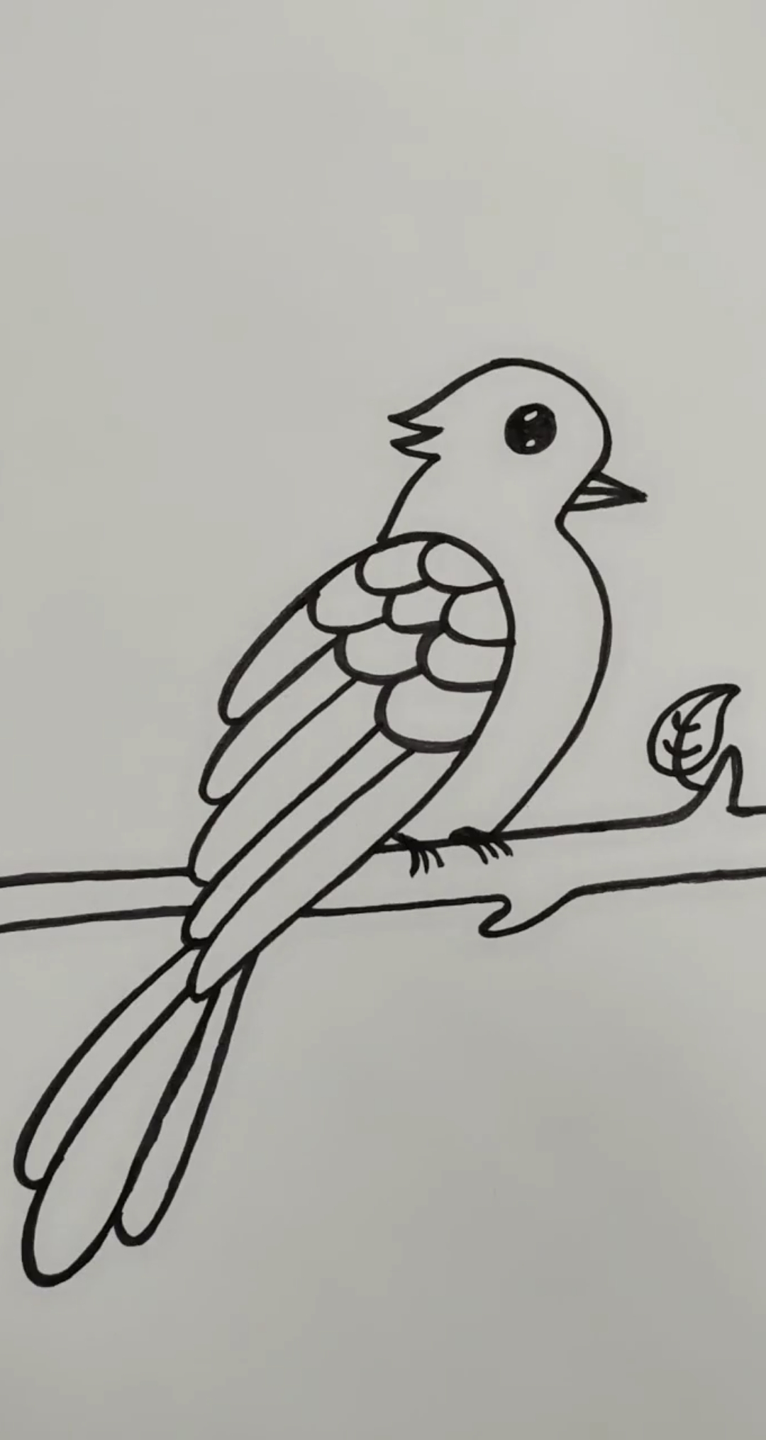 用数字画一只小鸟图片