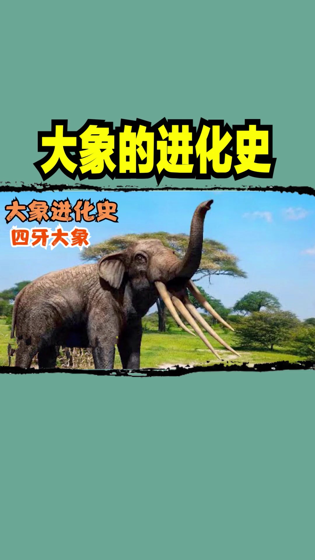 大象#大象的进化史