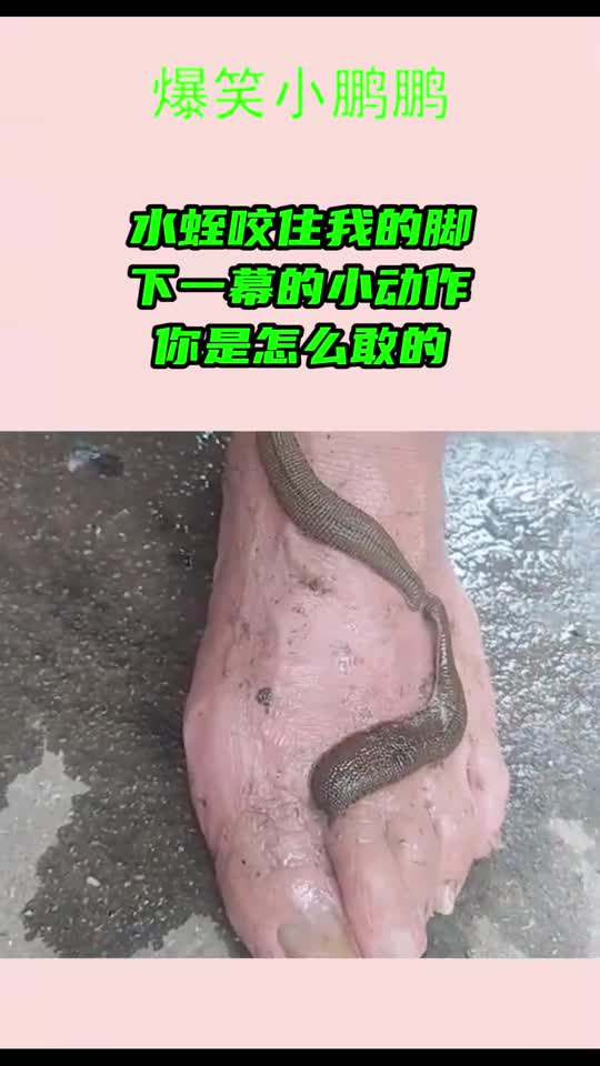 水蛭咬住我的脚下一幕的小动作你是怎么敢的