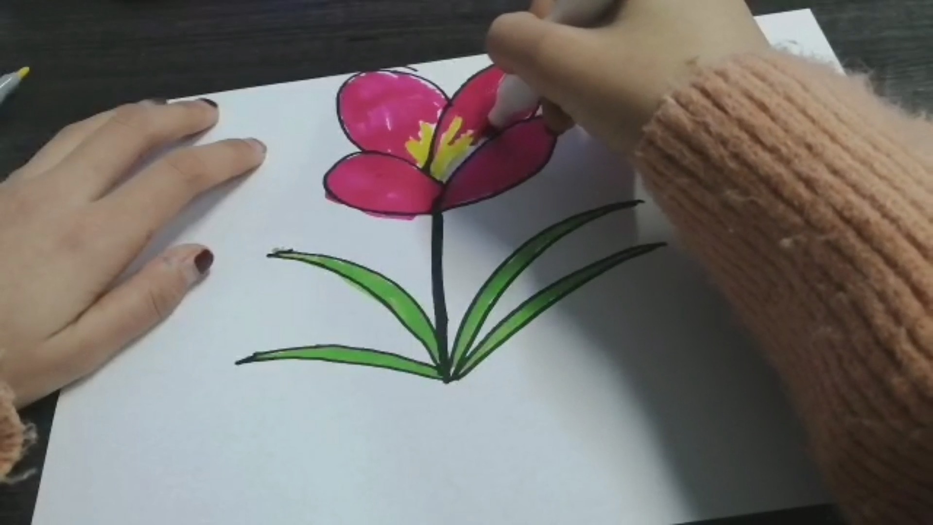 教你画鲜花,轻松学会画一个超级好看的一朵鲜花,快来学习吧!