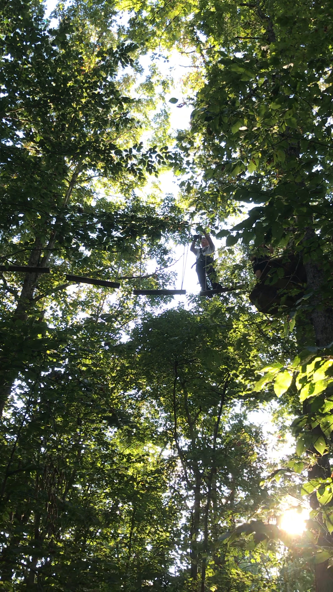 美国生活之一:treetop adventure