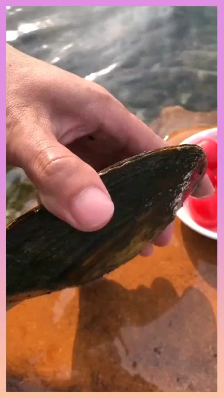 蚌兄,养你这么多年,如今你是不是也该贡献贡献了