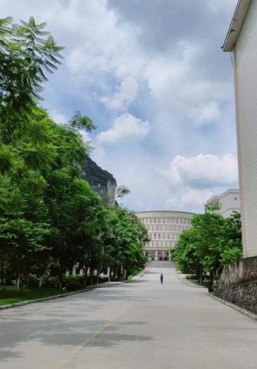 河池学院毕业证样本q337937599觅