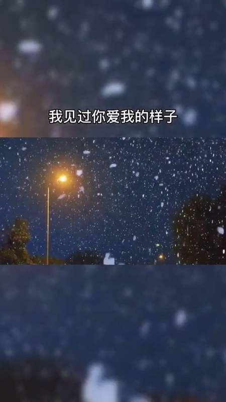 扎心情感语录#我见过你爱我的样子,所以我确定你不爱