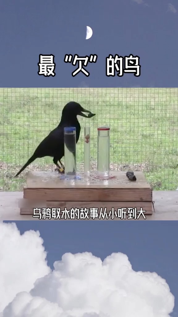 奇闻趣事抢先看#你身边有没有这种拍一下/扯一把就跑的朋友