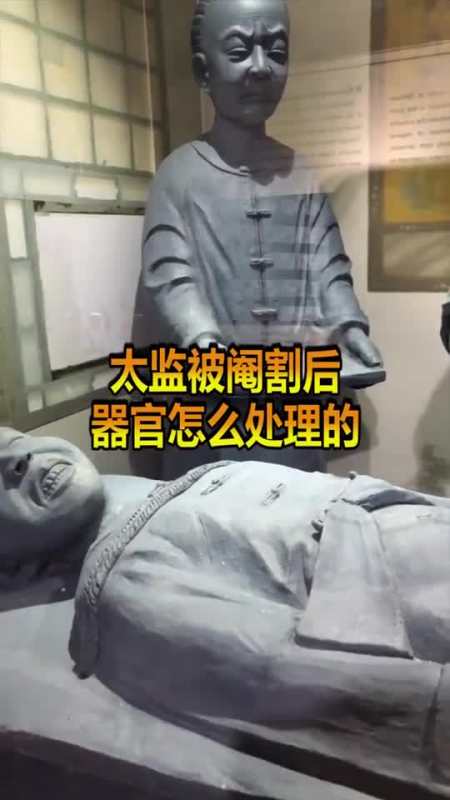 奇趣#太监进宫后,割下来的器官去哪了找不到就别想升官了-全民小视频