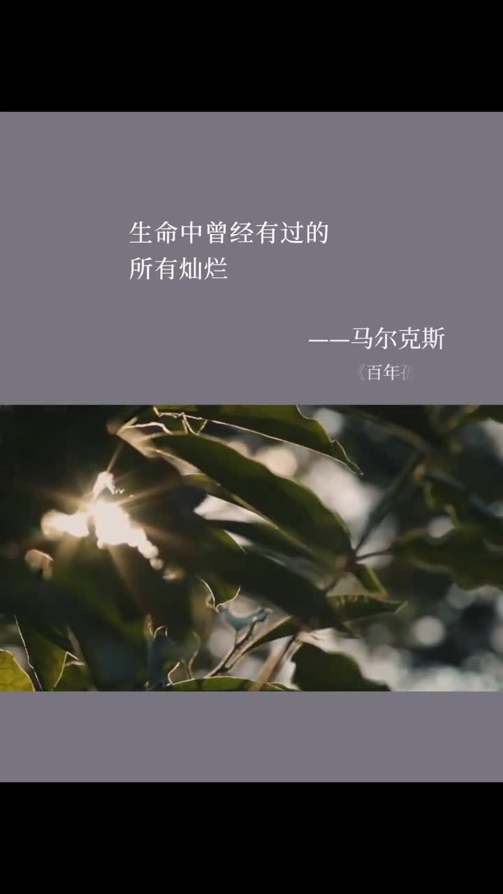 生命中曾经所有的灿烂,终将要用寂寞来偿还,孤单之前是迷茫,孤独过后