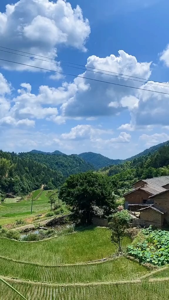 大山里的生活#一间茅屋,两亩薄田,青山绿水环绕间,鸟语花香常相伴