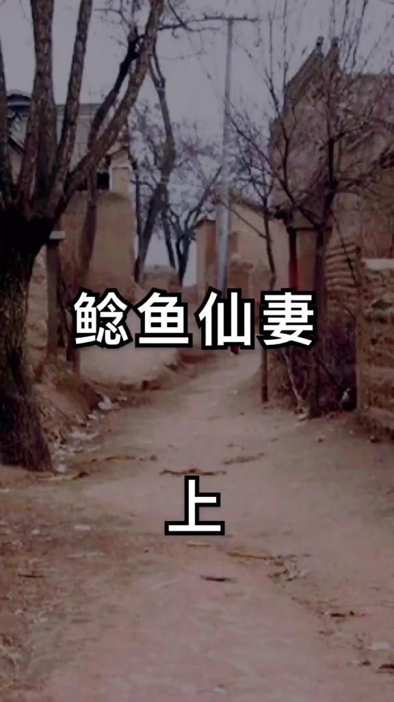 民间故事#民间故事鲶鱼仙妻