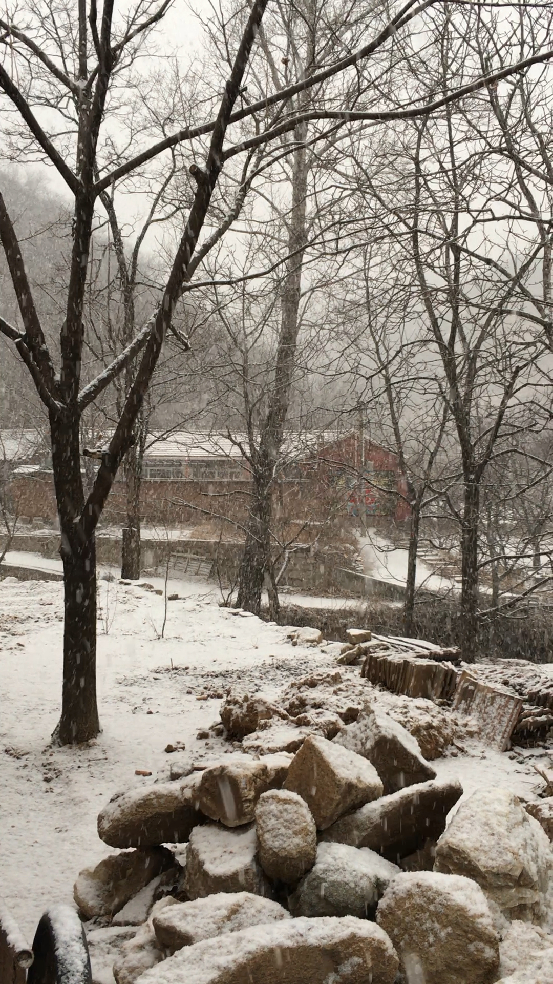 家乡的雪景图图片