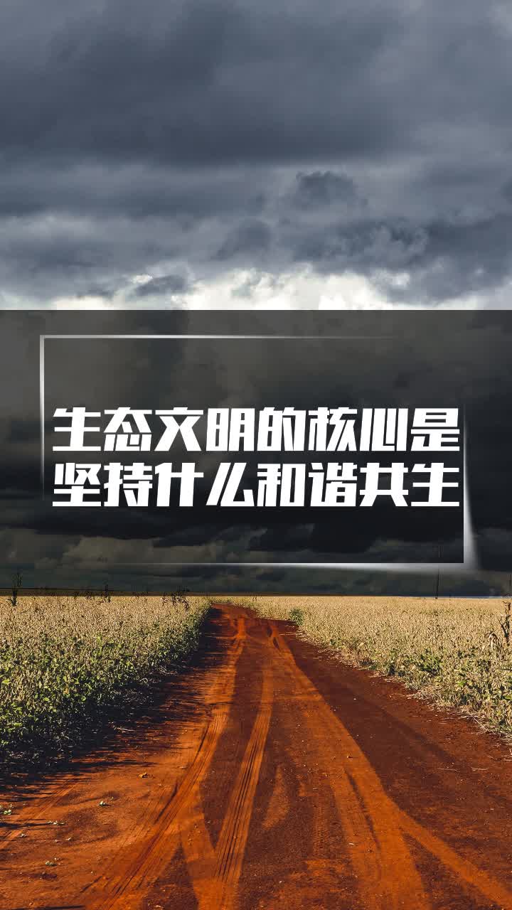 生态文明的核心是坚持什么和谐共生
