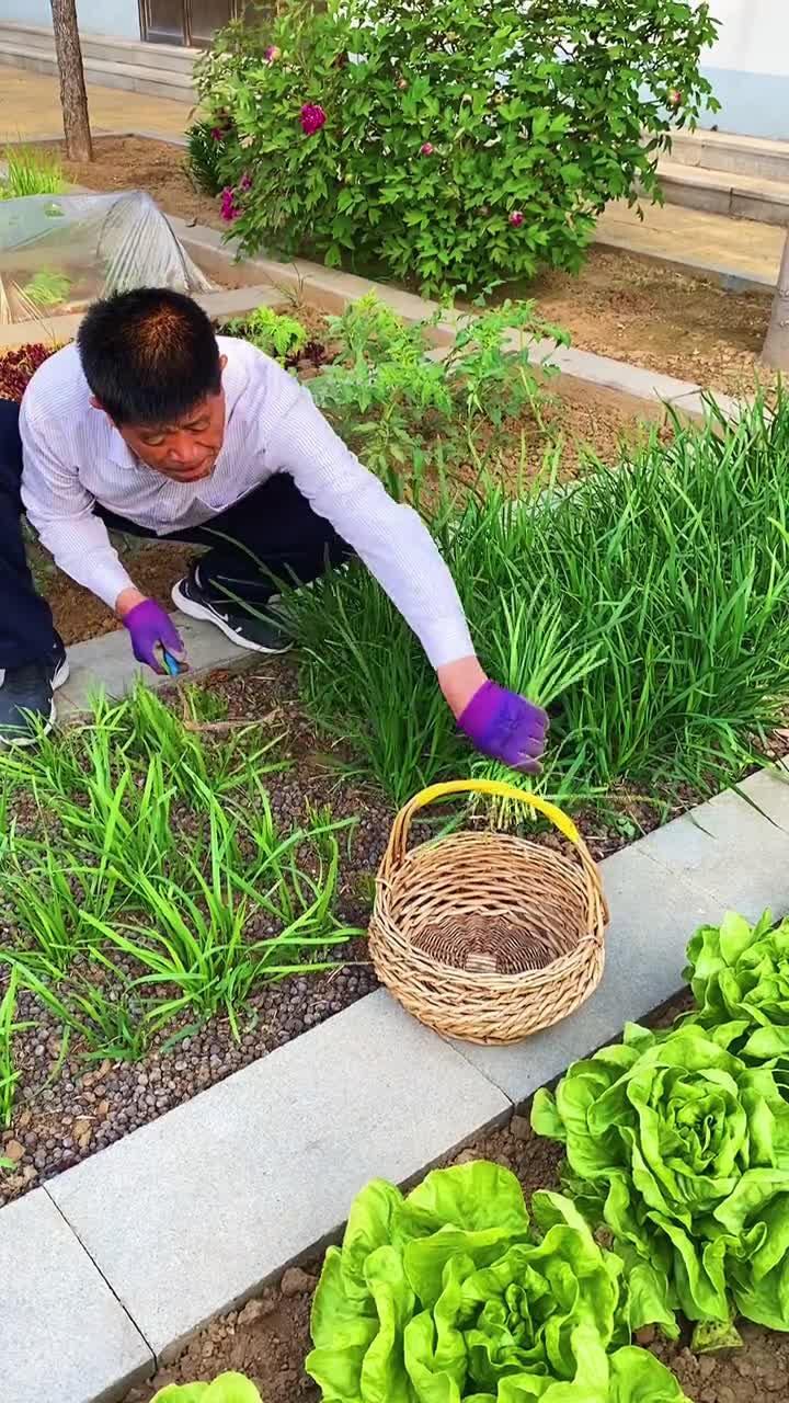 我们喜欢农村的生活,每天打理打理菜园,吃着自己种的菜放心又健康,过