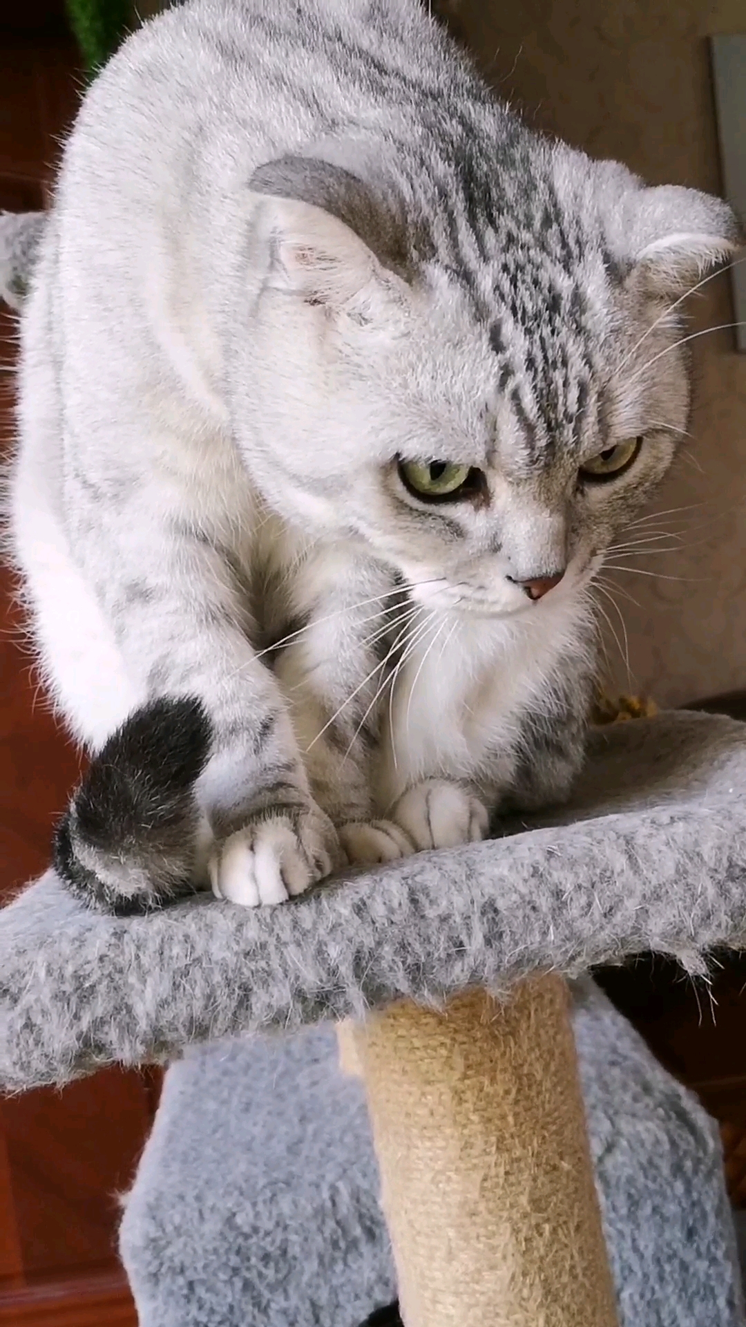 大眼瞪小眼,啥意思?