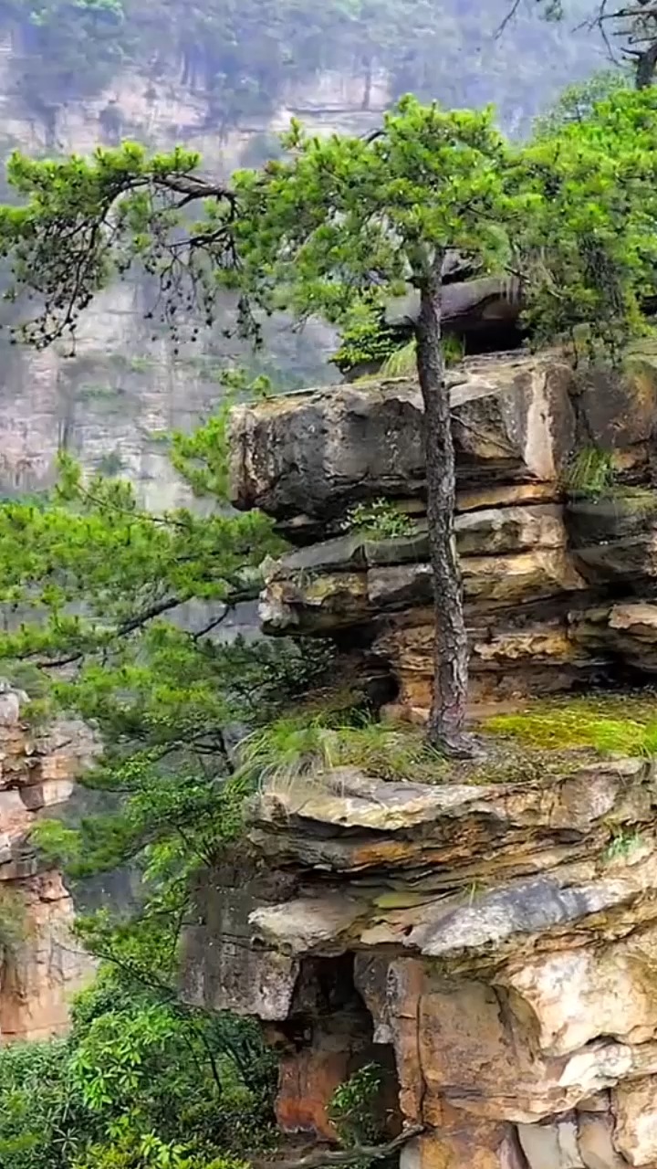 大山深处自然美山清水秀好风光