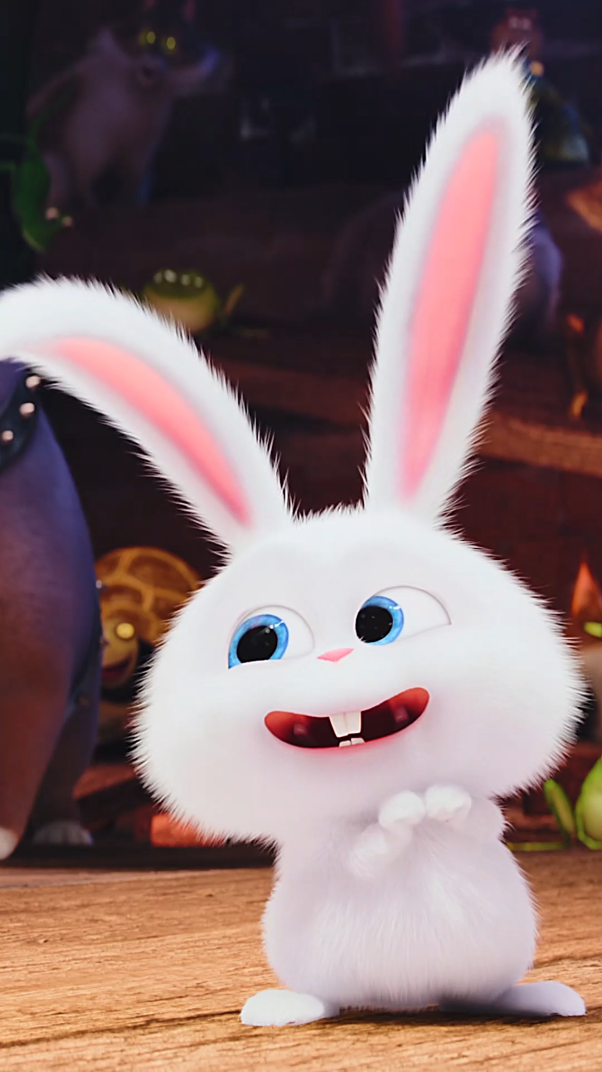 60帧好可爱的兔兔#动态壁纸想不到还是动物中的老大#爱宠大机密#热门