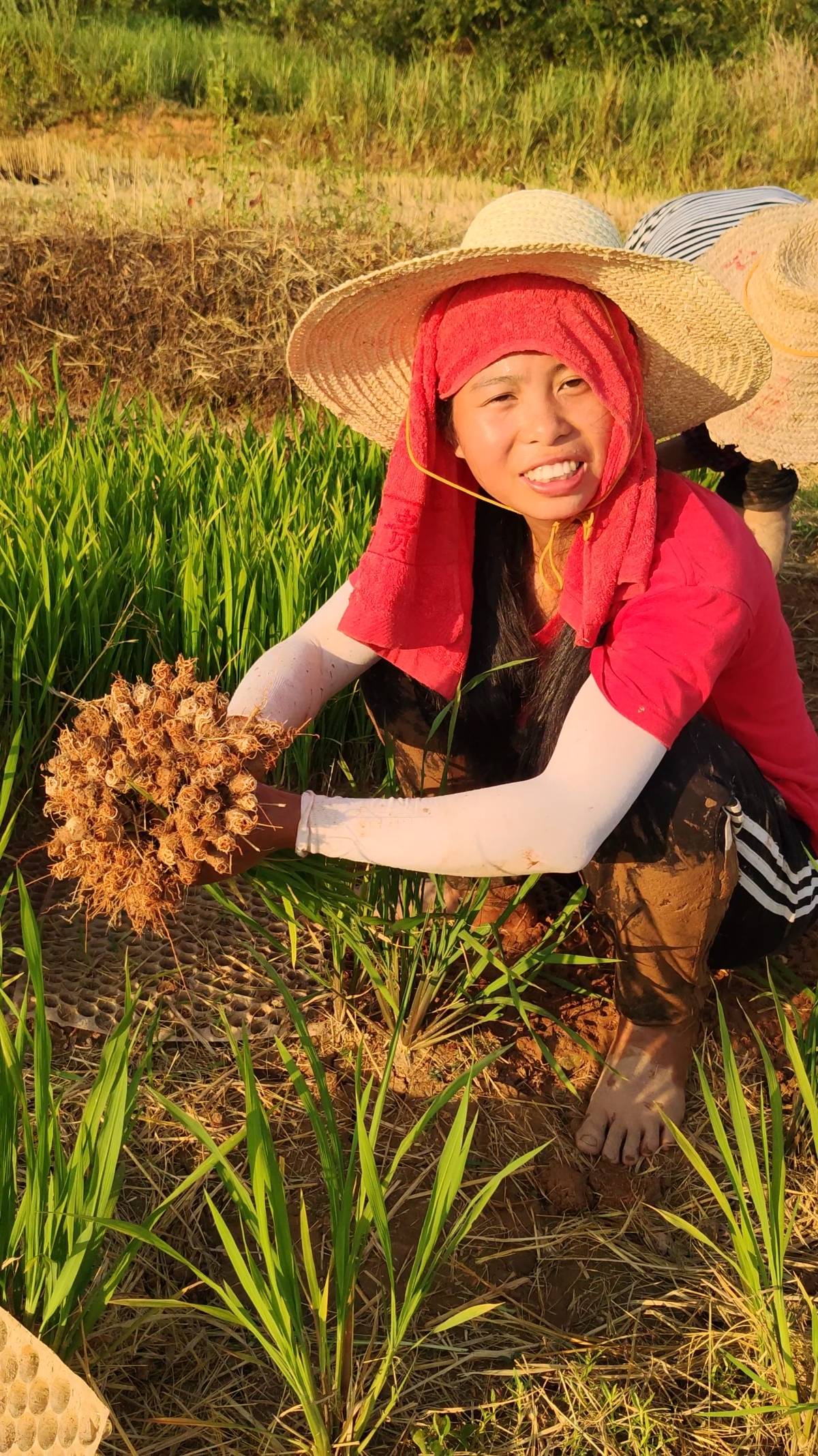 烈日下户外干农活