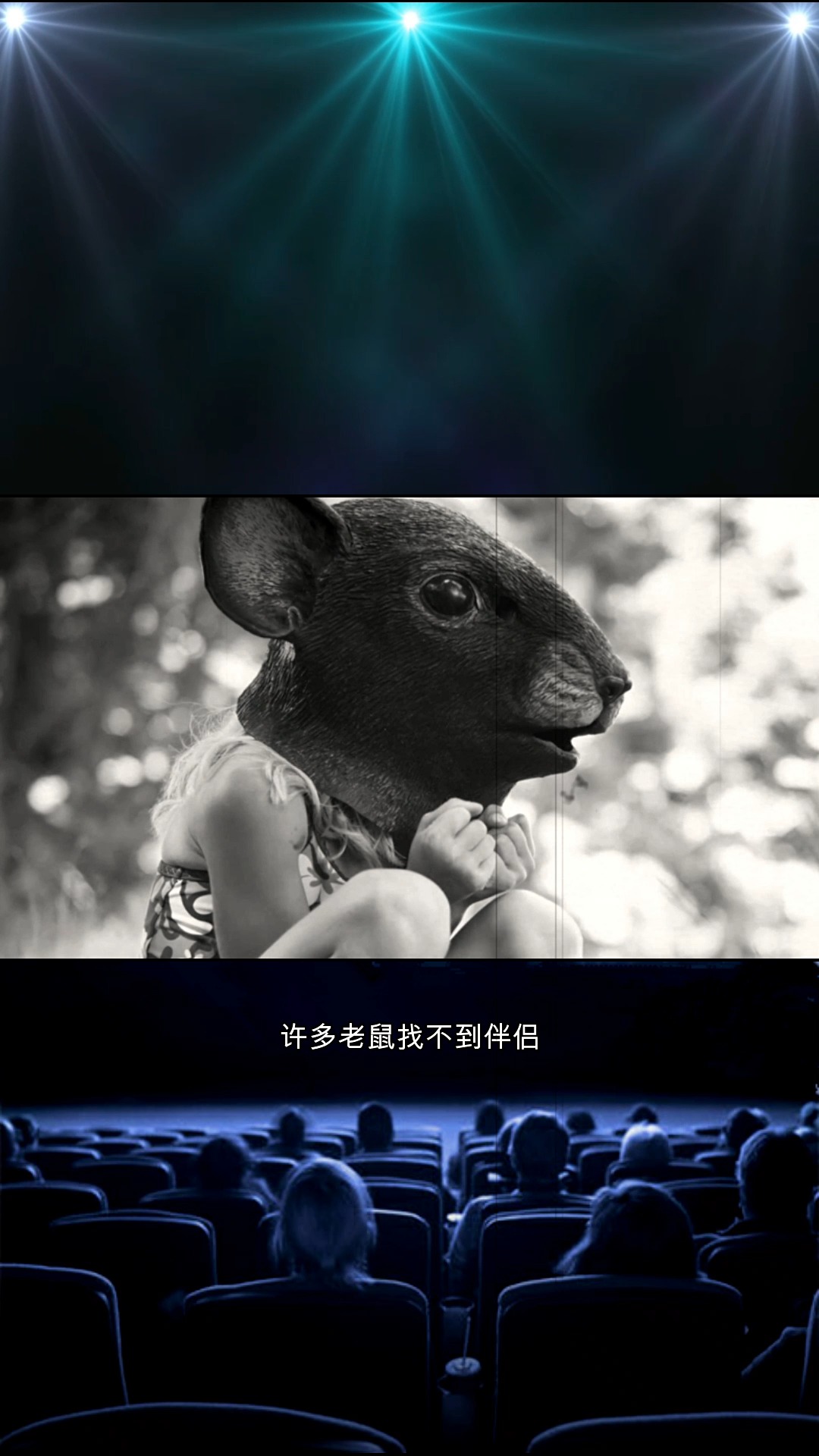 科学实验#颠覆认知的老鼠乌托邦实验-度小视