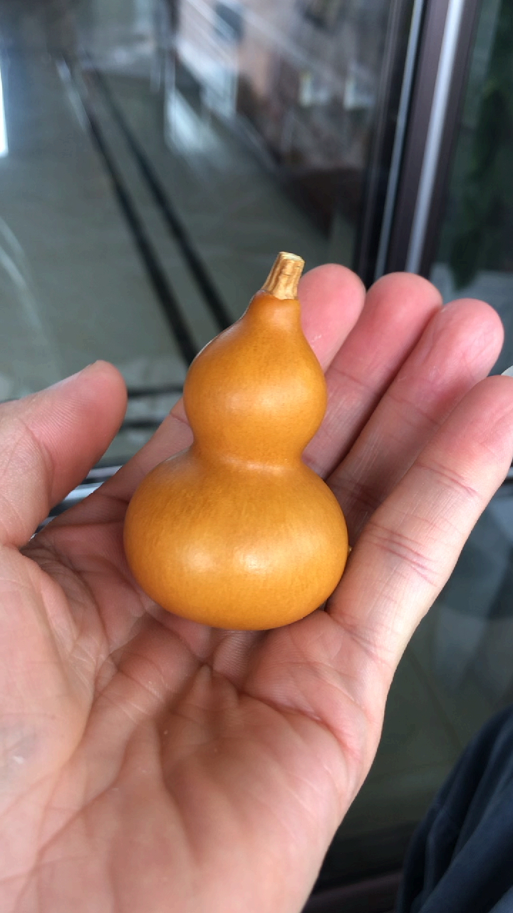 葫芦盘到玉化是怎么样的,开始尝试-度小视