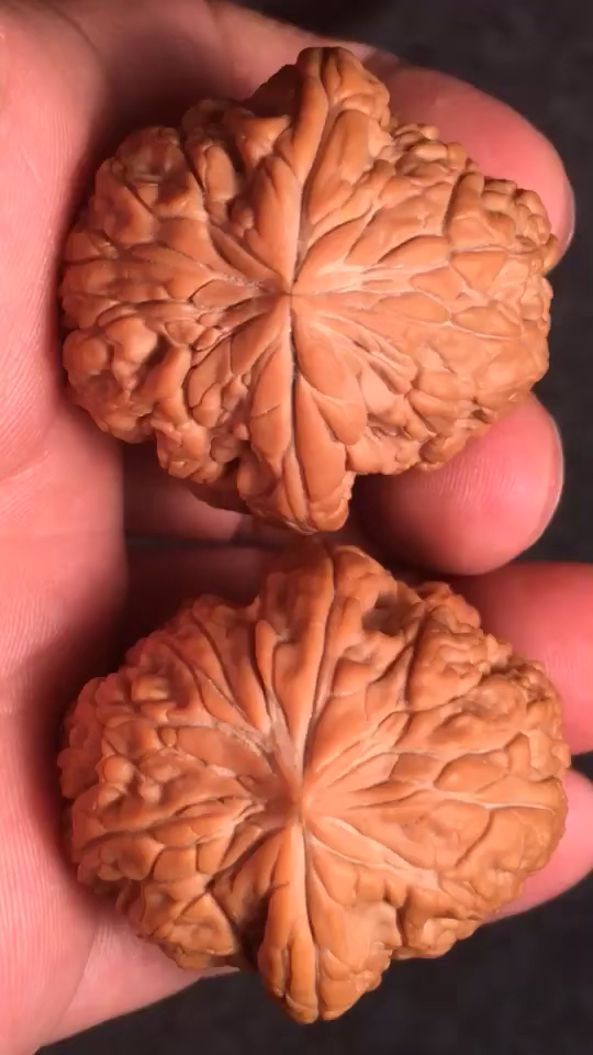 文玩核桃#平谷暴雪狮子头