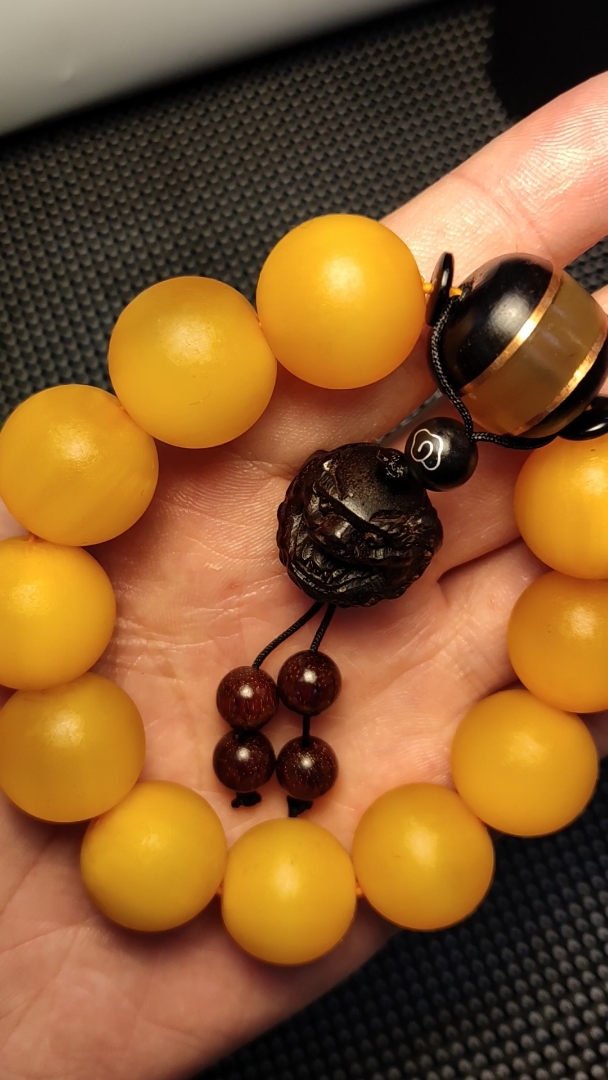 山龟具有滋阴降火,潜阳退蒸,补肾健骨,养血补心等