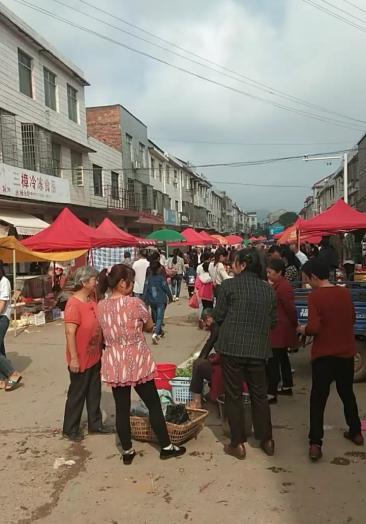 衡东县三樟镇三樟乡.在赶集.