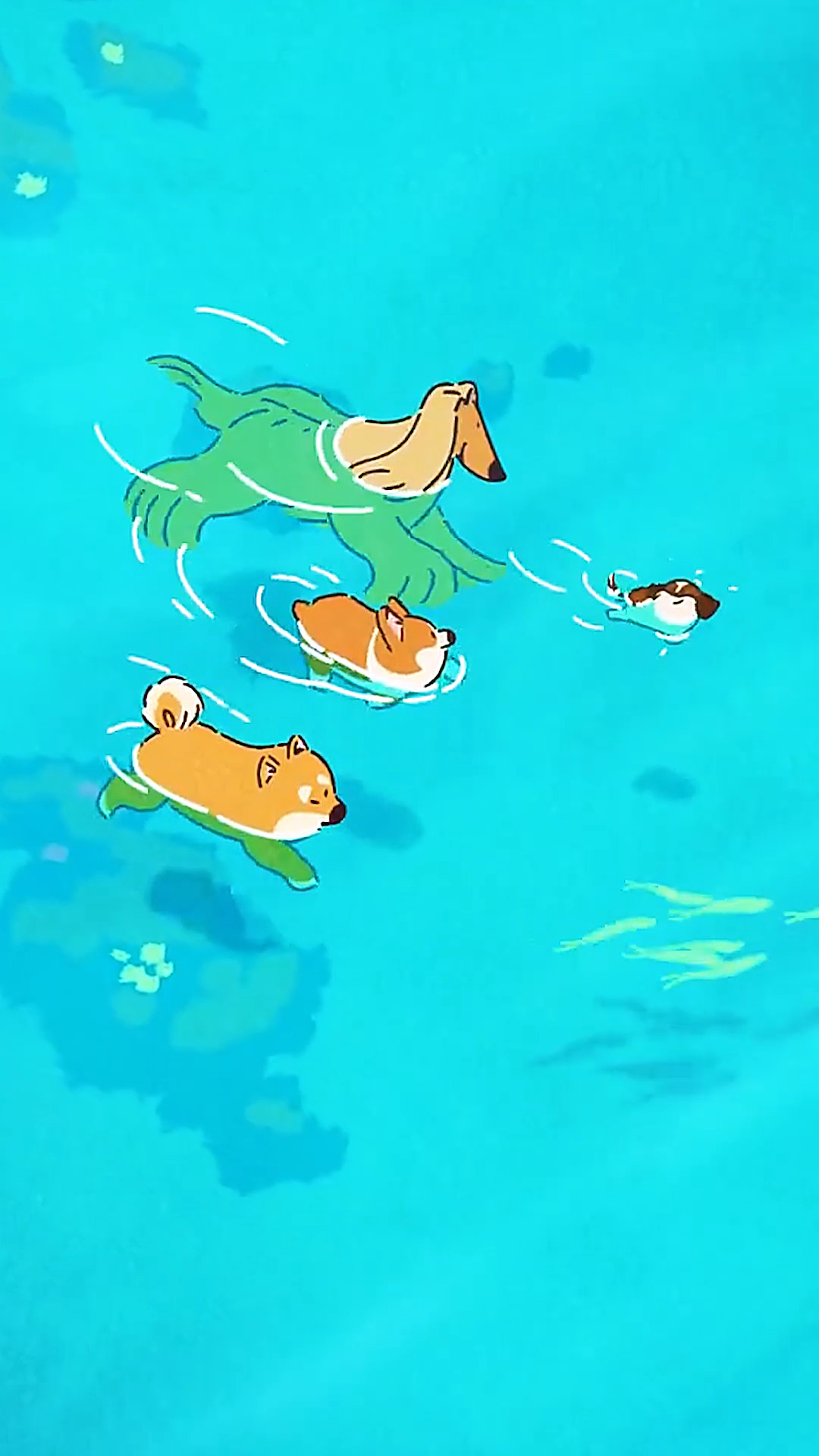 动漫#可爱的柯基有趣找小伙伴一起游泳去了