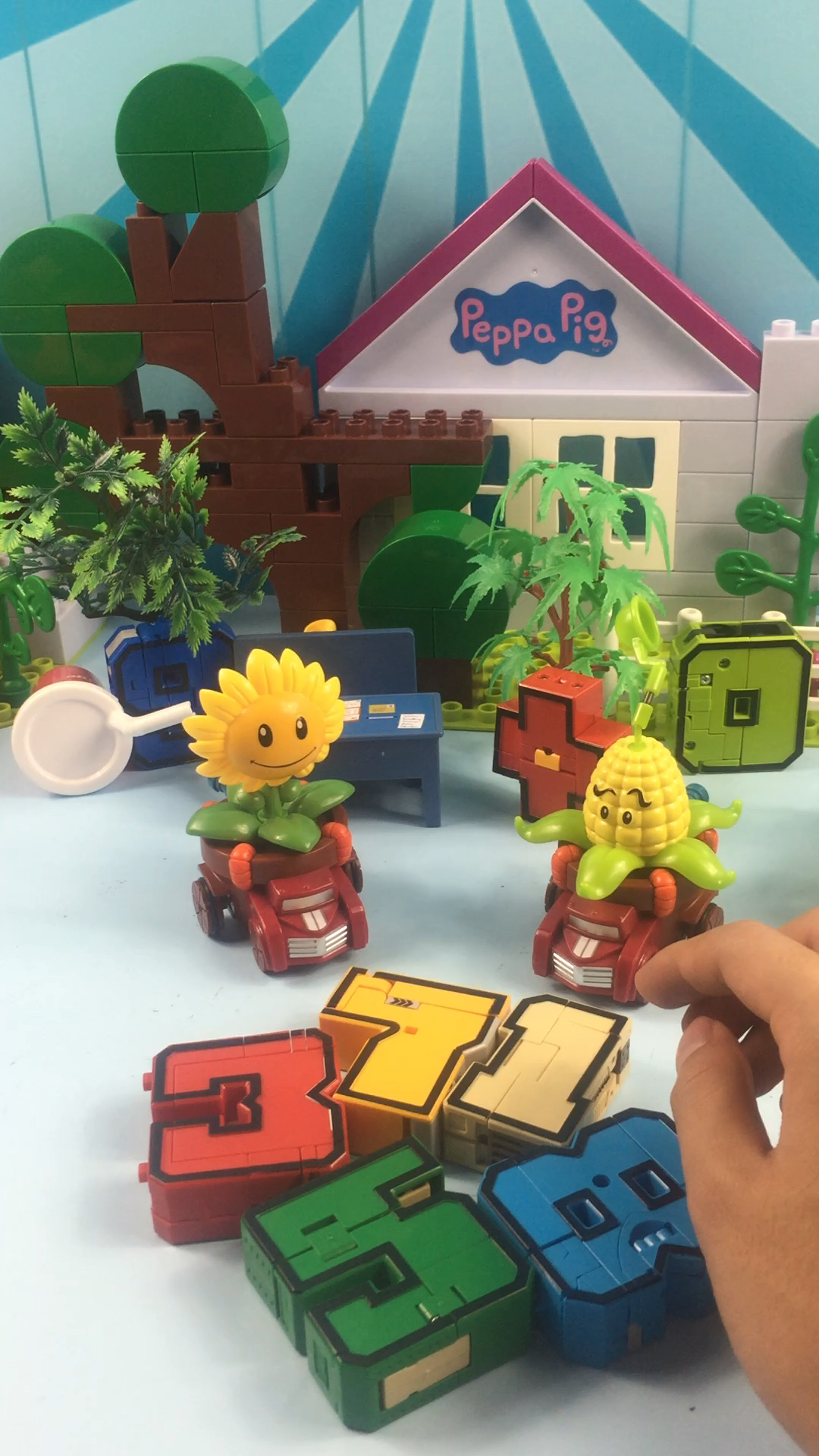 向日葵出数学题考玉米投手