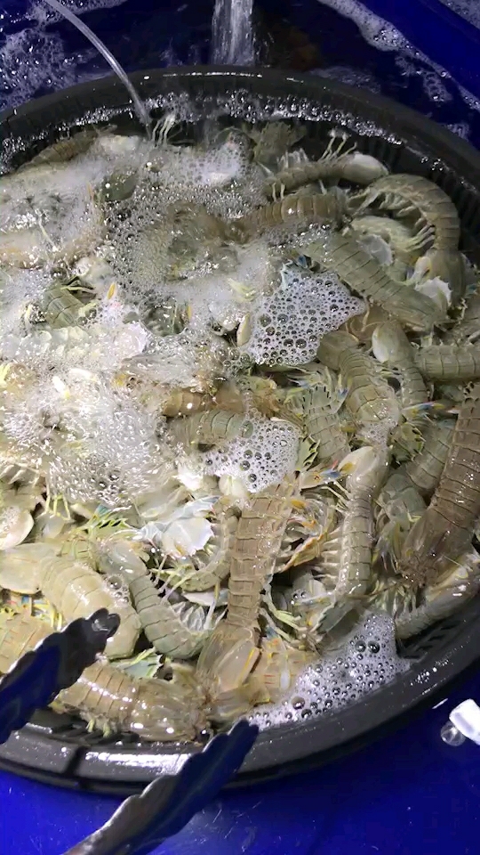 新鲜的大虾爬子