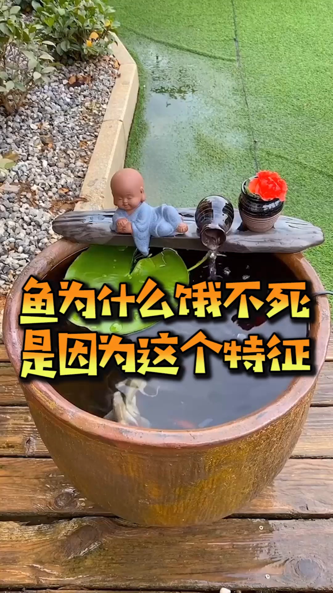 奇趣#鱼为什么饿不死?只因它身体这一特征,看完恍然大悟!