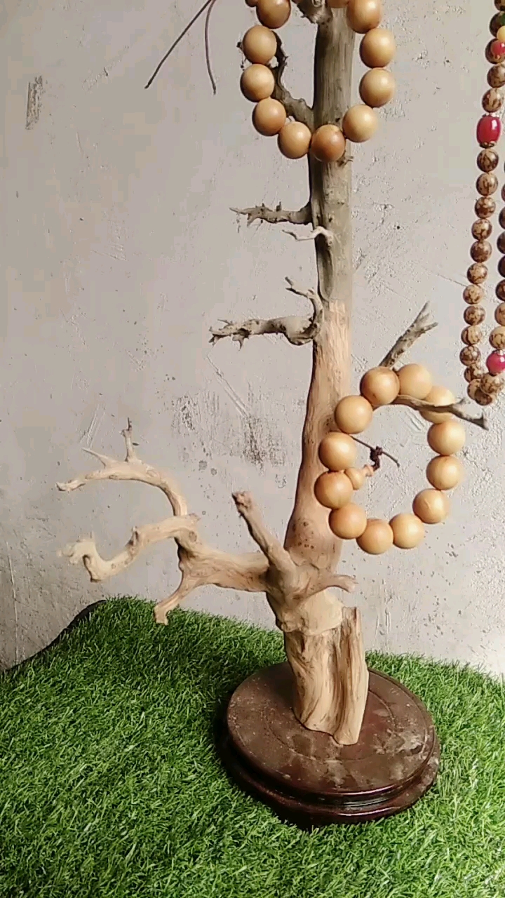 全民小助手太行崖柏经典梅花树摆件!