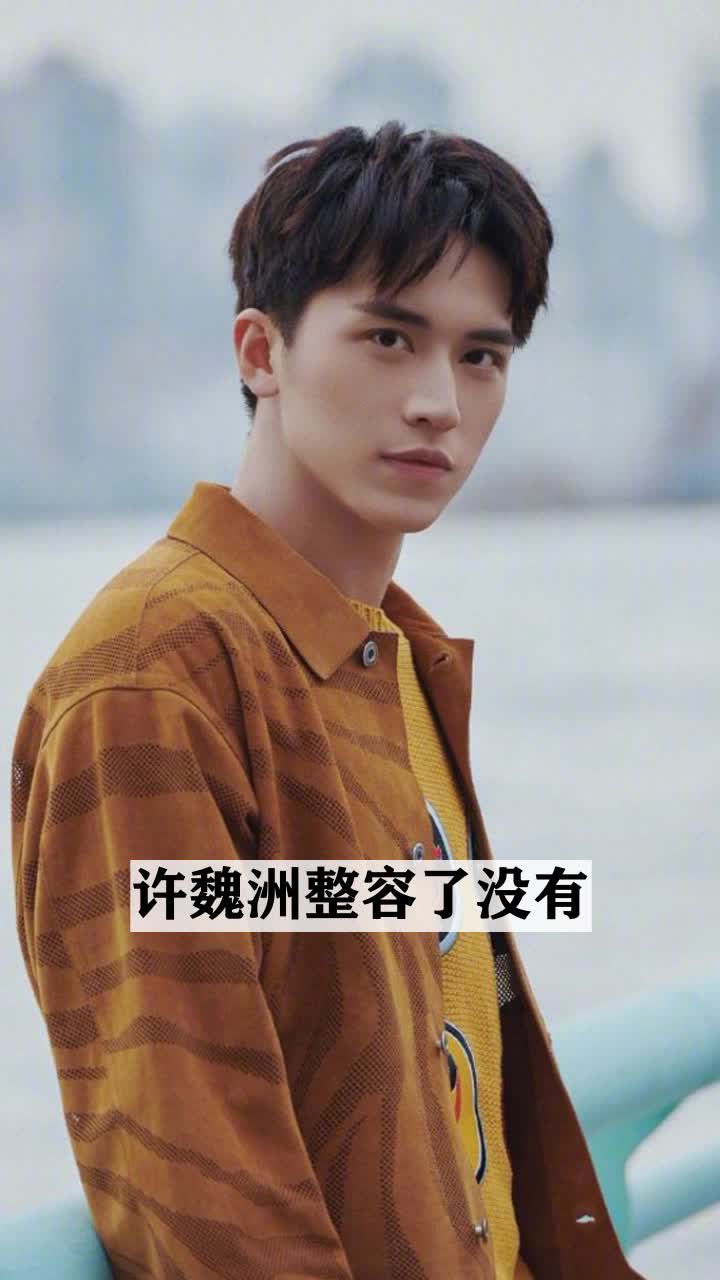 许魏洲整容了没有