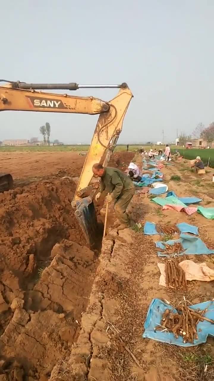 辛苦的农民伯伯们,大中午的时候就顶着烈日在干活,真是太不容易了!