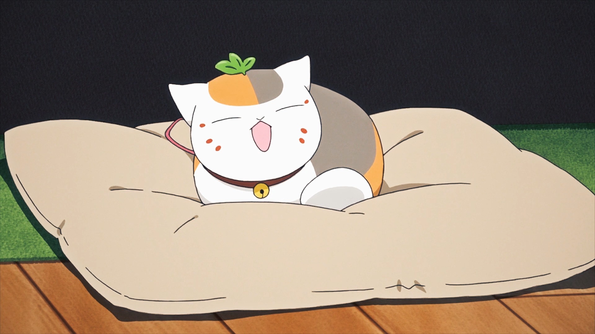 小时候的猫咪老师好可爱