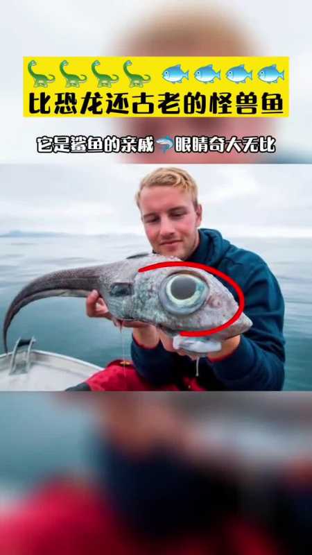 史上眼睛最大的鱼比恐龙还古老