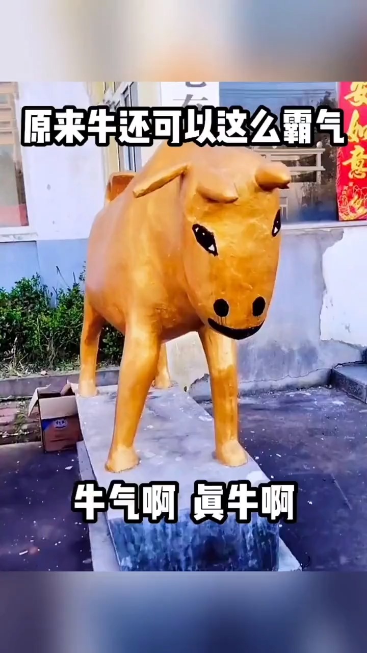 我整的这俩天头牛,难道不霸气吗